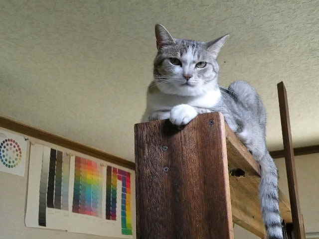 WŖV΂ɂȂ܂BN̉ĂH~AĂ΂Ă炸łB