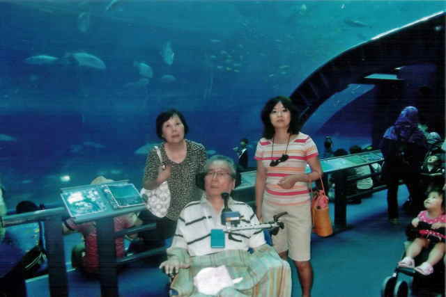 沖縄美ら海水族館は、長田さん夫婦が一番行きたかった場所でした。ジンベイザメに会えてよかったです。