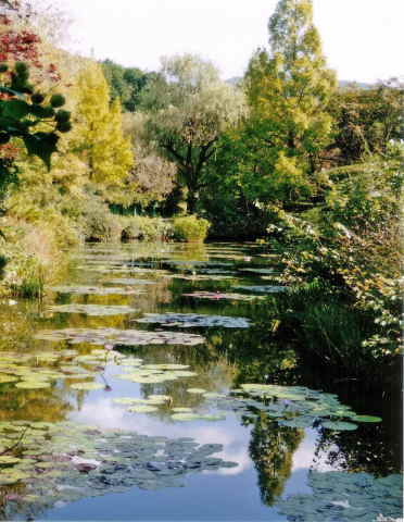 VCɌb܂A΂ɉf肱ޖ؁XɊłB