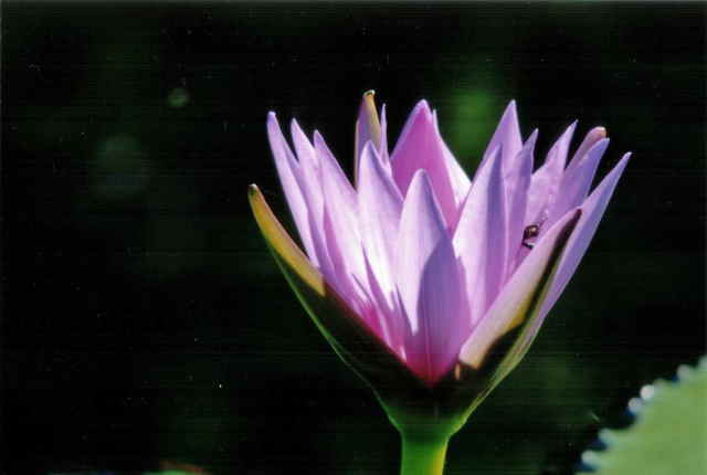 ʂ͂킩Ȃ̂łAԂтɃAĂ܂B